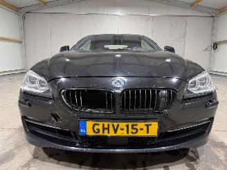 BMW 6-serie 640d 230kW Automaat Cabrio Luchtvering picture 31