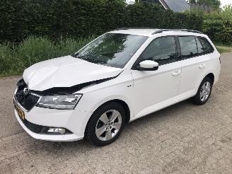 Voiture accidenté Skoda Fabia Fabia Combi 1.0 TSI Clever 2019/4