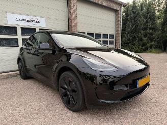 damaged passenger cars Tesla Model Y RWD 58 kWh Pano Leder 45938 Km NAP ! 2024/12