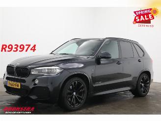 voitures fourgonnettes/vécules utilitaires BMW  XDrive30d VAN M-Sport LED Memory H/K AHK SHZ 2017/3