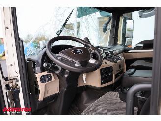 MAN TGS 18.320 Full Air LBW Dhollandia Camera Navi picture 27