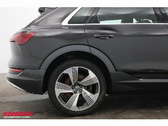 Audi E-tron 55 quattro 95 kWh Pano LED Cruise SHZ PDC picture 6