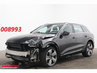 uszkodzony samochody osobowe Audi E-tron 55 quattro 95 kWh Pano LED Cruise SHZ PDC 2019/5