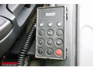 DAF CF 250 FA Aut. Kuhler Carrier Syberia Dhollandia Euro 6 picture 28