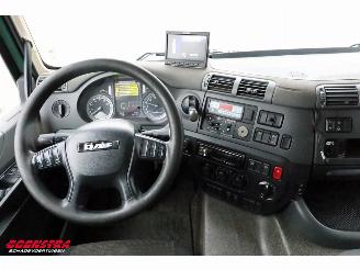 DAF CF 250 FA Aut. Kuhler Carrier Syberia Dhollandia Euro 6 picture 17