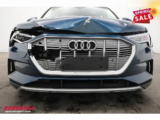 Audi E-tron 55 quattro advanced 95 kWh LED Virtual Cruise PDC picture 9