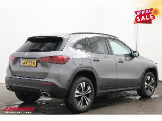 Mercedes GLA 250 e AMG LED ACC Apple/Android Memory Camera SHZ picture 3