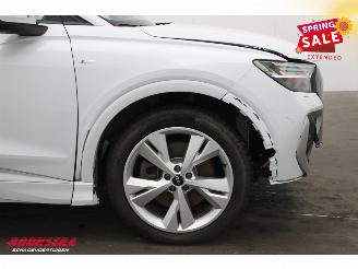 Audi Q4 55 quattro S Edition 82 kWh Pano LED ACC Memory Camera AHK picture 5