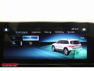 Mercedes EQB 250 Luxury Line 67 kWh Leder Navi Clima Cruise Camera SHZ picture 24