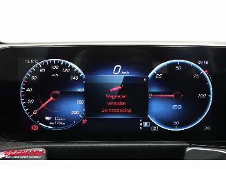 Mercedes EQB 250 Luxury Line 67 kWh Leder Navi Clima Cruise Camera SHZ picture 20