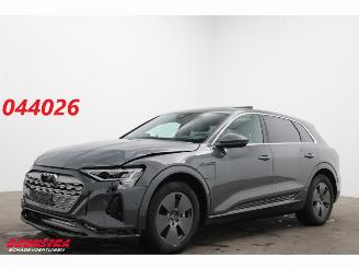 Voiture accidenté Audi Q8 55 quattro Advanced 115 kWh Pano LED ACC HUD 360° Ventilatie LRHZ 2023/12