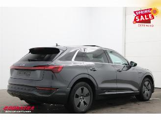 Audi Q8 55 quattro Advanced 115 kWh Pano LED ACC HUD 360° Ventilatie LRHZ picture 3
