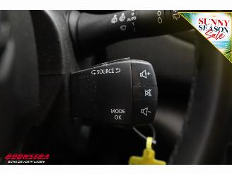 Renault Mégane Estate 1.0 TCe Business Zen Cruise Clima Navi Bluetooth PDC LMV picture 21