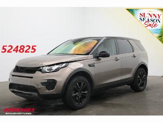Auto incidentate Land Rover Discovery Sport 2.2 TD4 Aut. Unfall 4WD SE Cruise Navi Clima PDC 2015/5