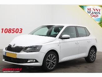 Voiture accidenté Skoda Fabia 1.0 TSI Drive Navi Clima Cruise PDC 80.188 km! 2018/12