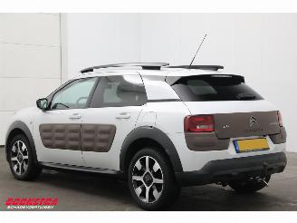 Citroën C4 cactus 1.2 PureTech Aut. Business Navi Clima Bluetooth Camera PDC picture 4