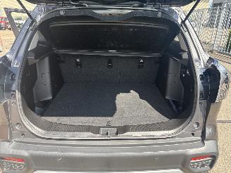 Suzuki S-Cross  picture 7