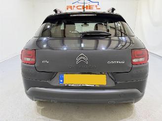 Citroën C4 cactus 1.6 Blue HDI 100 Shine Pano/Navi picture 5