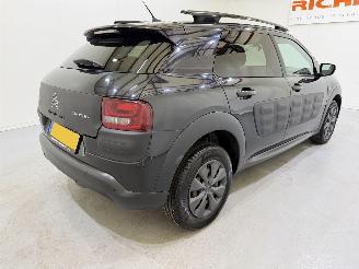 Citroën C4 cactus 1.6 Blue HDI 100 Shine Pano/Navi picture 6