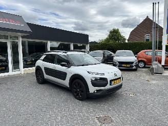 Citroën C4 cactus 1.2 Pure Tech Shine picture 2