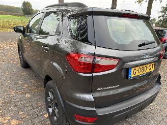 Ford EcoSport 1.0 picture 9