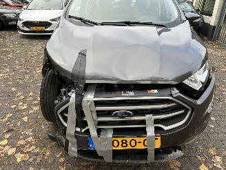 Ford EcoSport 1.0 picture 2