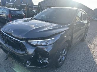 Auto incidentate Ford Kuga 2.5 PHEV  e-CVT Automaat  ST Line Plug in Hybrid  ( 436 KM ) 2026/2
