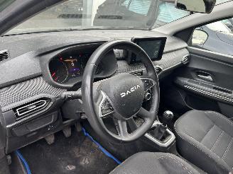 Dacia Jogger 1.0 Tce Extreme picture 12