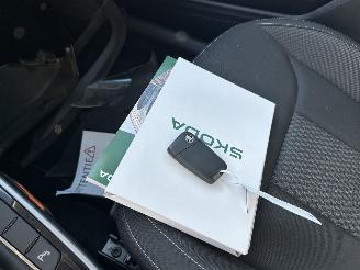 Skoda Fabia 1.0 TSI Automaat Business Edition  ( NW prijs 30500,00 ) picture 16