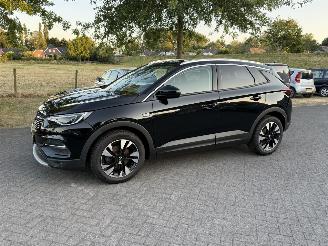 Voiture accidenté Opel Grandland X 1.2 Turbo / Automaat / Leer 2020/10