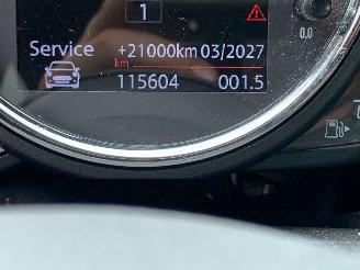 Mini Countryman  picture 19