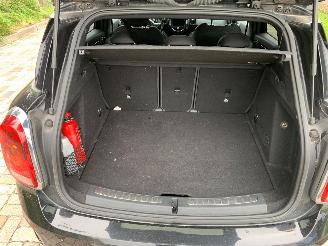 Mini Countryman  picture 14