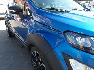 Ford EcoSport  picture 13