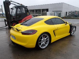 Porsche Cayman GTS picture 5