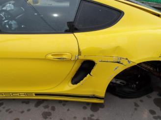 Porsche Cayman  picture 16