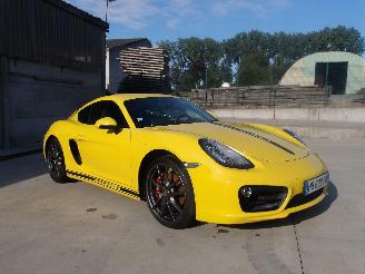 Schadeauto Porsche Cayman  2013/1