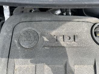 Skoda Fabia 1.2 TDI Greenline airco picture 22