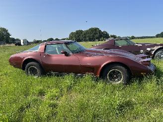 Chevrolet Corvette 5.7 V8 TARGA picture 17