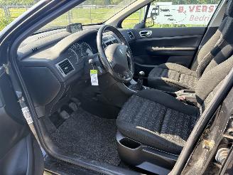 Peugeot 307 1.6-16V NAVTECH picture 5