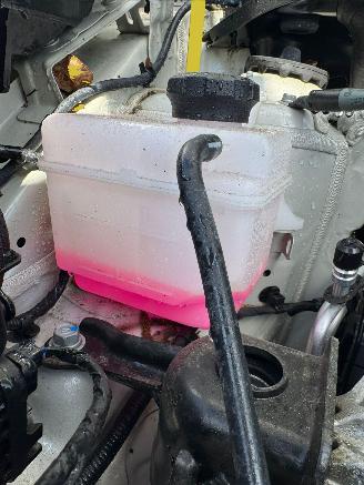 Kia Picanto 1.0 AUTOMAAT DPI DynamicPlusLine picture 10