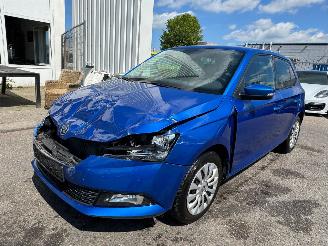 Unfallwagen Skoda Fabia 1.0 TSI Ambition 2021/1