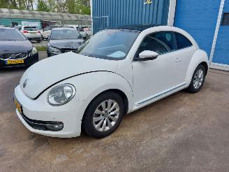 Damaged car Volkswagen Beetle Beetle (16AB) Hatchback 3-drs 1.2 TSI 2013/4