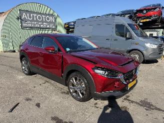 Schadeauto Mazda CX-30 2.0 e-SkyActiv-X Autom. 137KW M Hybrid Luxury Clima Navi Led NAP 2022/1