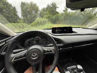 Mazda CX-30 2.5 Hybrid picture 18