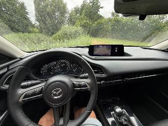 Mazda CX-30 2.5 Hybrid picture 16