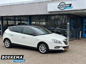 Avarii autoturisme Lancia Delta 1.4 16V Oro Airco Half-Leer 2010/5