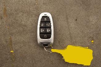 Hyundai Nexo FCEV Plus Pack Leer picture 21