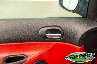 Peugeot 206 CC 2.0-16V Cabrio picture 17
