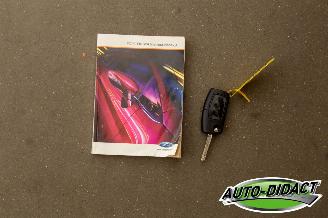 Ford Fiesta 1.6 TDCi Clima ECOnetic Trend picture 24