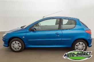 Peugeot 206 1.4 Forever picture 36